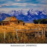 小说后妈给我消消火 lphwvl0g