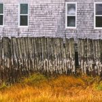 帝王计划怪兽遗产在线观看超清:探索奇幻世界的惊险冒险之旅 pwszwz