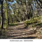 四叶草研究所免费隐藏入口:探索神秘世界的秘密通道与技巧 trw672