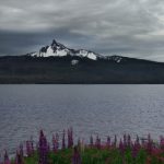 探索Mox的寄宿屋:一个充满奇遇与温暖的故事 jaf1w6au