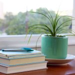 探寻天涯海角入口的神秘之旅与美丽风景 rjy4nq74r7